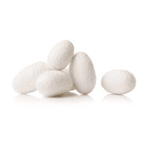 Silk Protein-